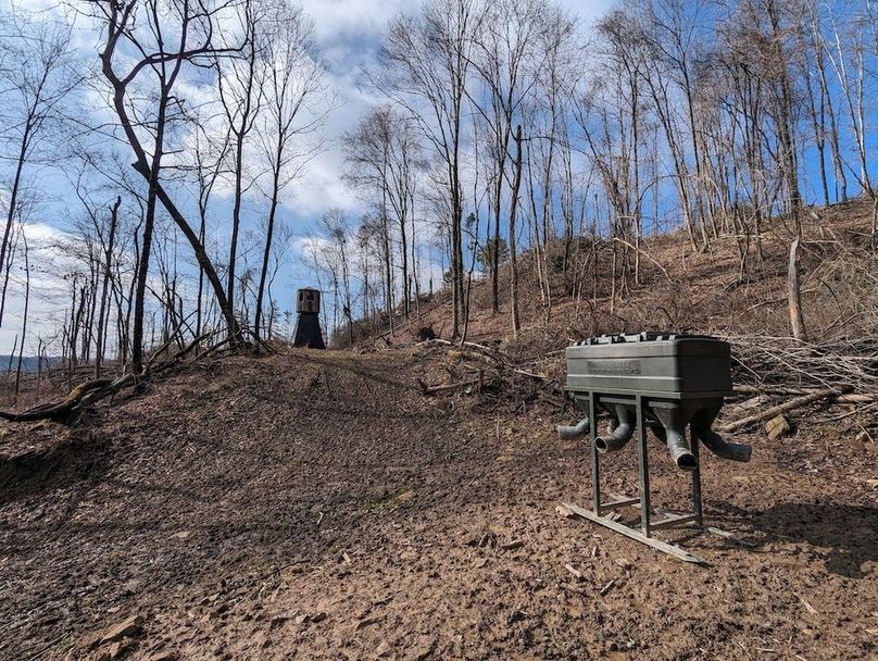 PXL_20240223_160003231