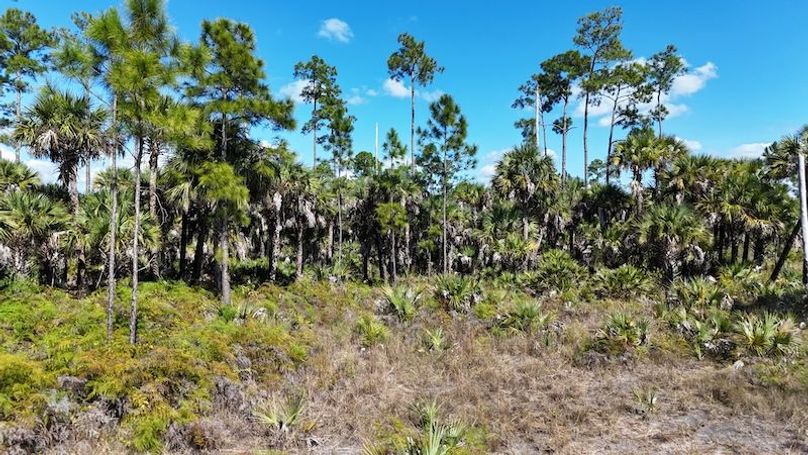 DJI_20251119123858_0973_D