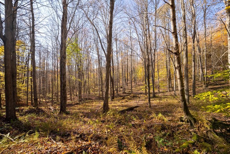 Elk PA 7000 Feature_Pro Photo-137