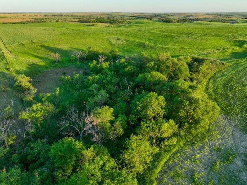 dji_fly_20250512_065232_116_1747051037465_photo