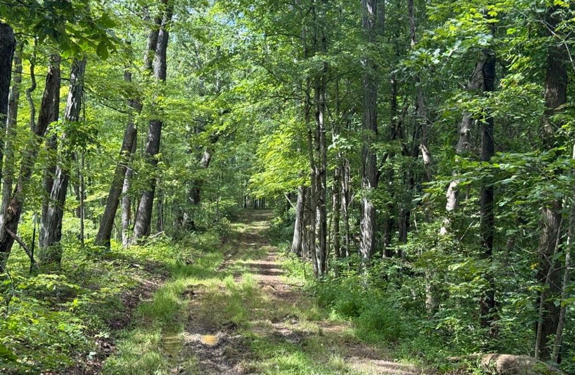 004 perimeter road along the southwest boundary