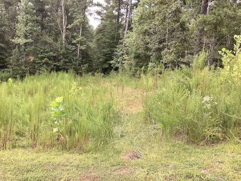 08 Open area at creek