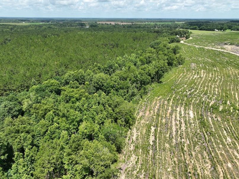 dji_fly_20250619_120506_960_1750349242518_photo