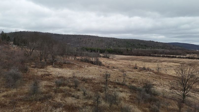 DJI_20260312144824_0050_D