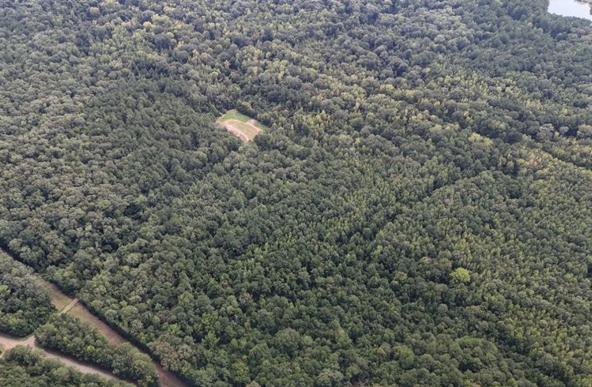 DJI_20250813041605_0617_D