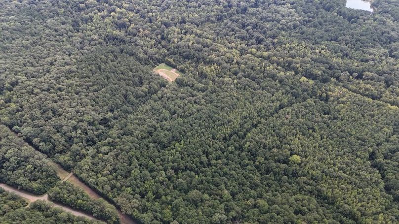 DJI_20250813041605_0617_D