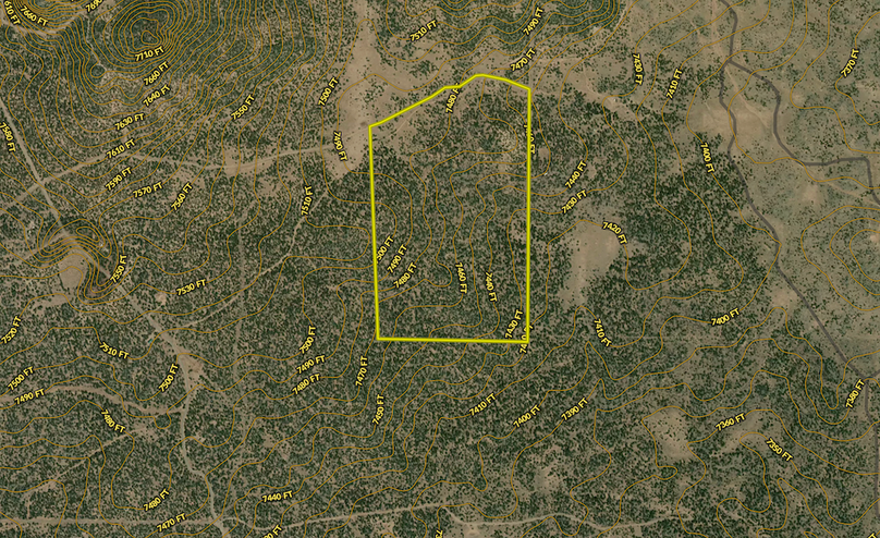 Screenshot 2025-06-08 at 4.53.52 PM