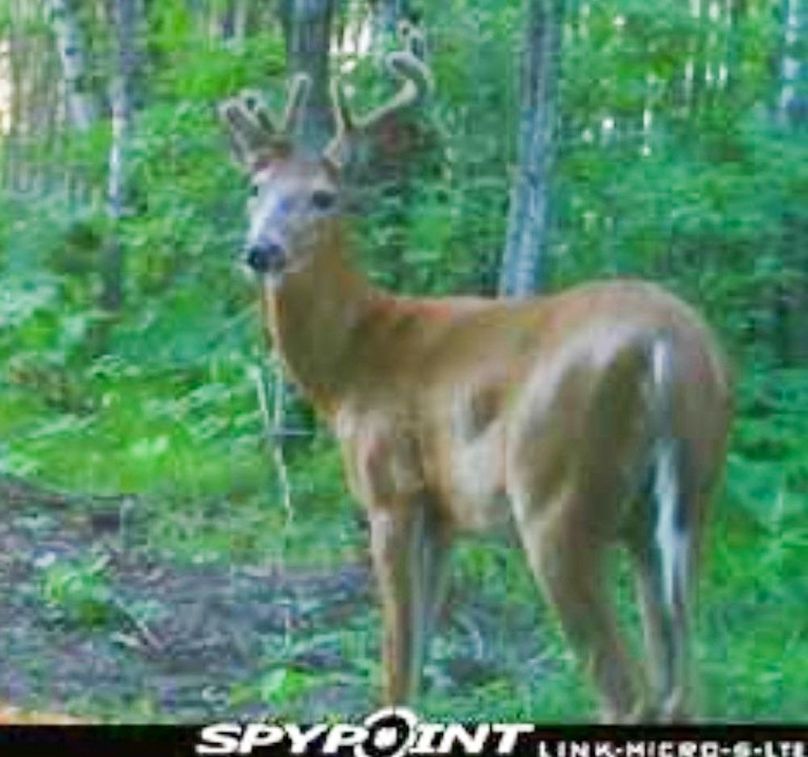 Screenshot 2021-07-25 at 8.24.39 PM