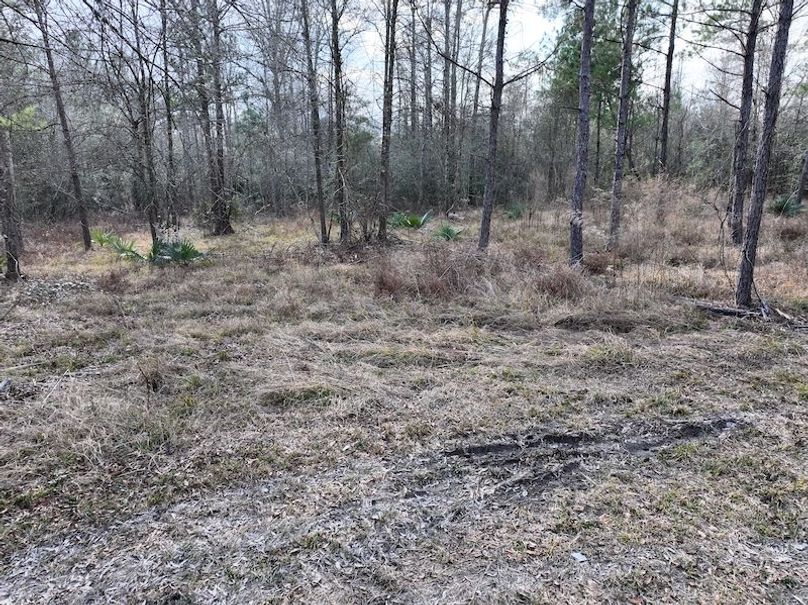 dji_fly_20260212_140006_0043_1771284248211_photo