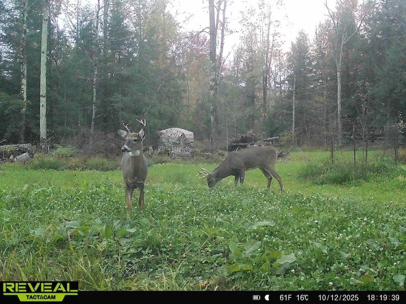 865814048724973-50-2-10122025181938-HD-W1015521