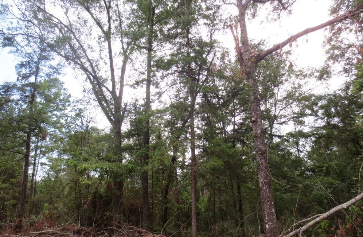 67D5399C-166B-4E00-AA1E-125313FA6862_1_105_c