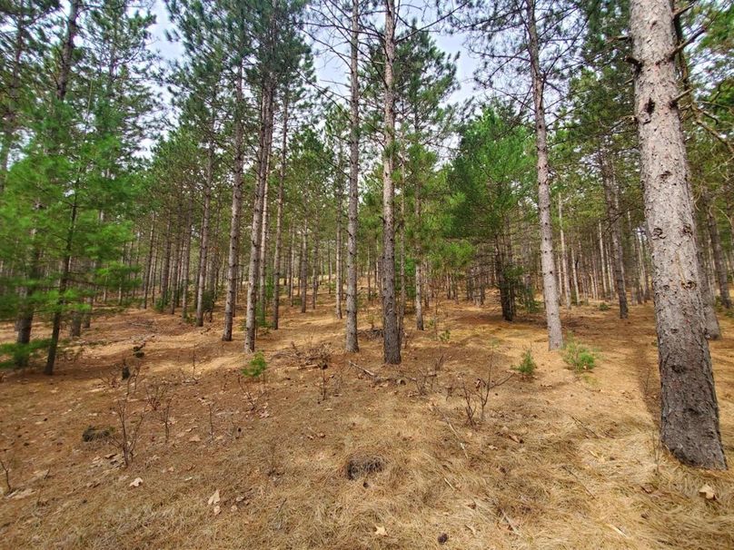 Resized_20230428_104908