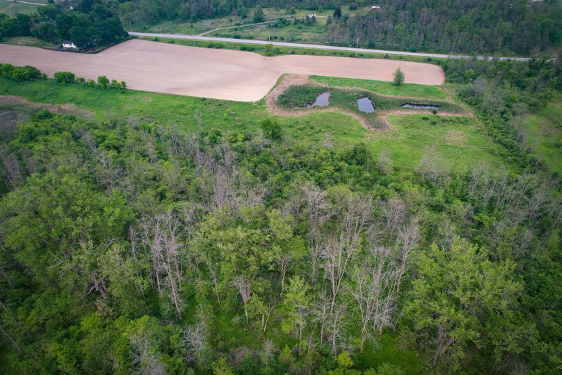 Ontatio_73.3_Green Photo 39