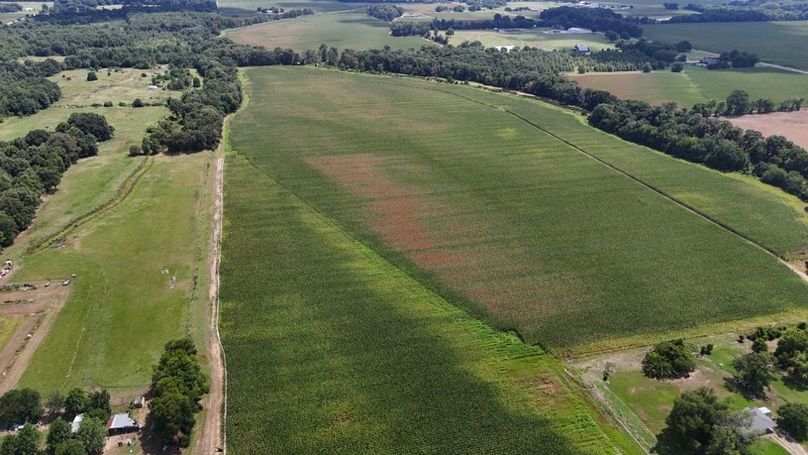 DJI_20250706035951_0465_D