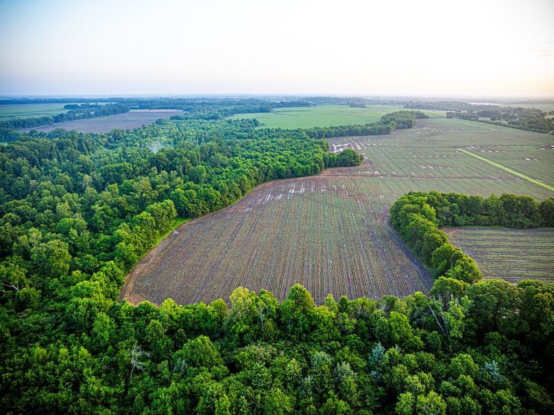 Copy of Noxubee 70 +- Tract 3-12