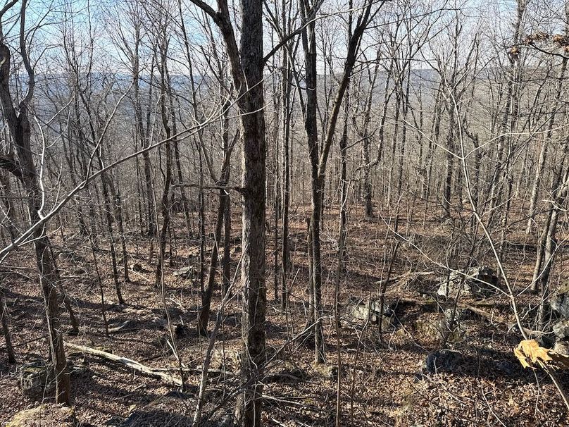 DJI_20260113_150744_252