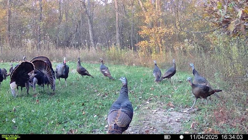 016579007489151-55-4-11042025163403-V-SYFW02490