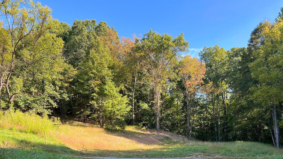 Recreational Property Adjoining The National Forest Whitetail Properties