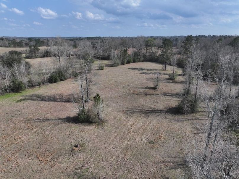 dji_fly_20260220_132300_0226_1771640791018_photo