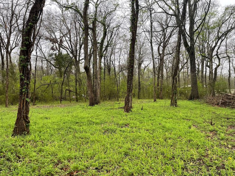 64ECBBBB-8D65-45BC-9428-0630C43061C2