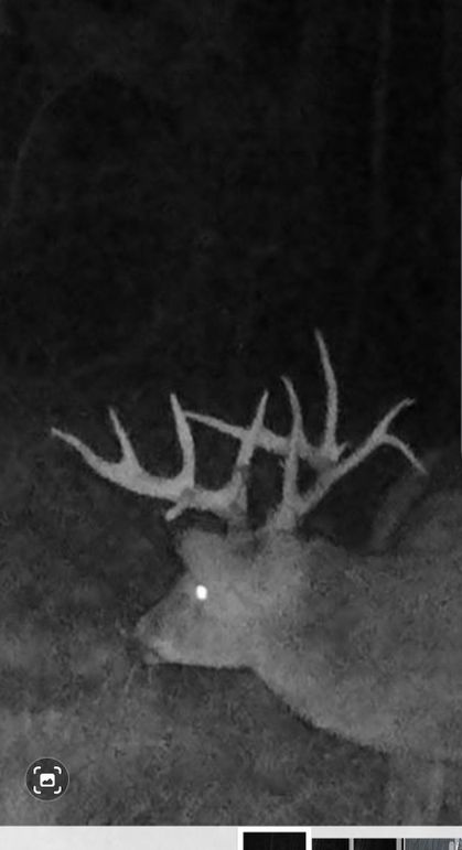 Screenshot_20211130-130558_Gallery1