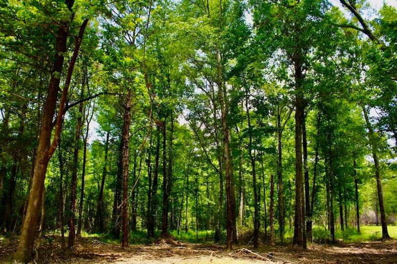 04CFDE10-B1E2-4ABD-A83D-4A53C1D84A43_1_105_c