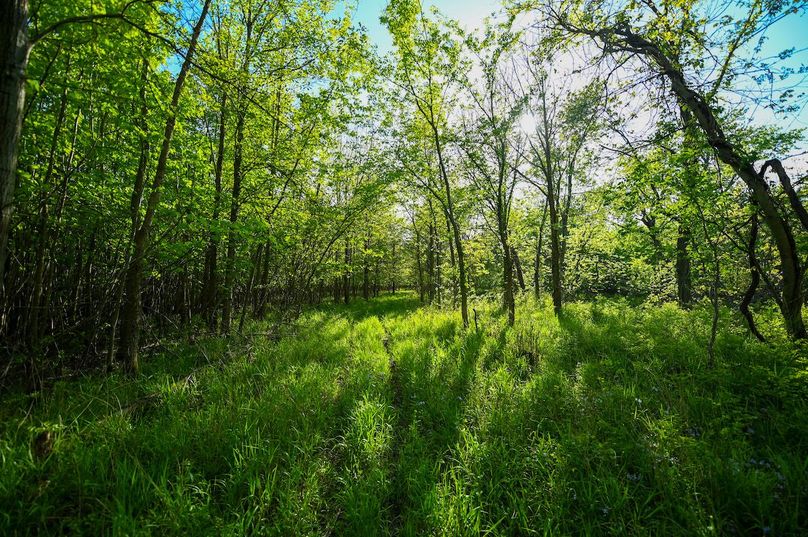 vandalia 450 (2)-3039