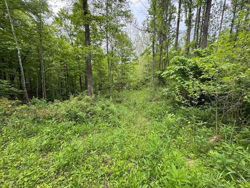 Pleasants, WV 168.59 AC Superior, Swank, Young-080