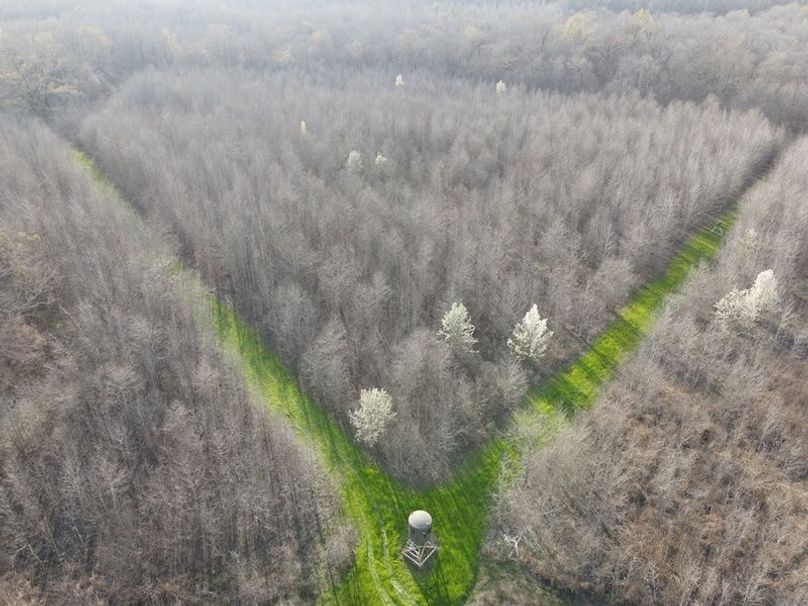 dji_fly_20240303_162028_105_1709504640657_photo copy