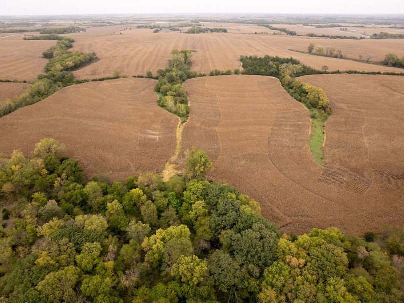 DJI_20251011101330_0115_D