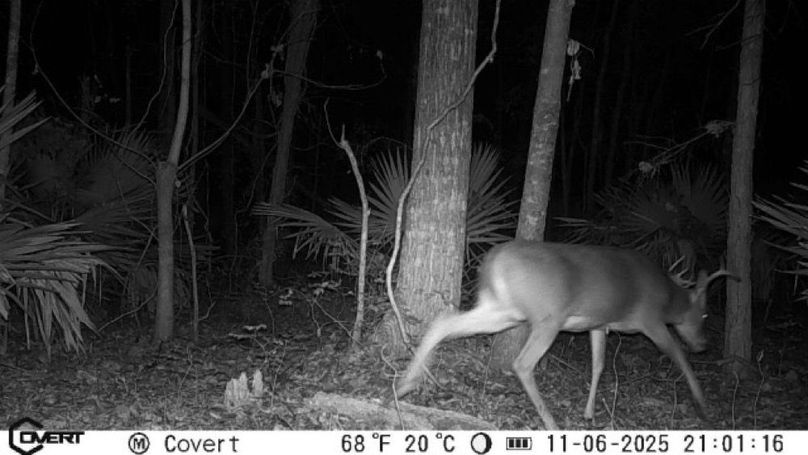 JPEG image-4E7C-BEFA-EC-0-2