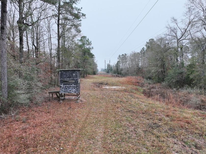 dji_fly_20260122_102248_0860_1769444809550_photo