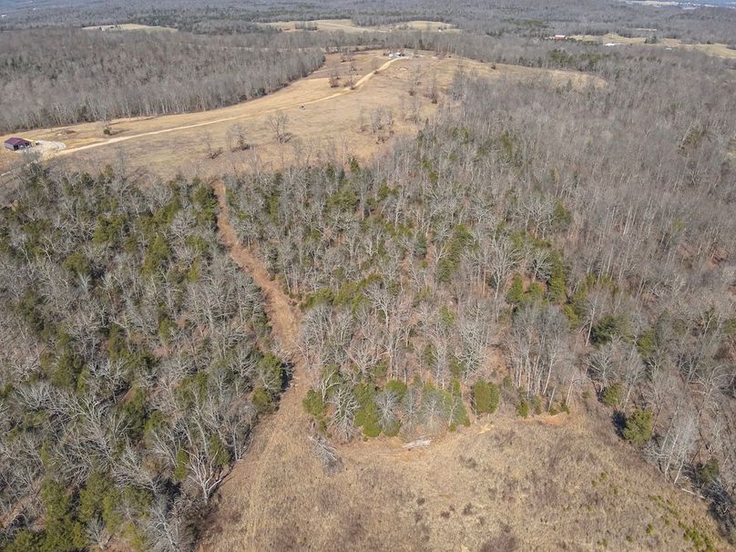 3-DJI_20260228121121_0011_W