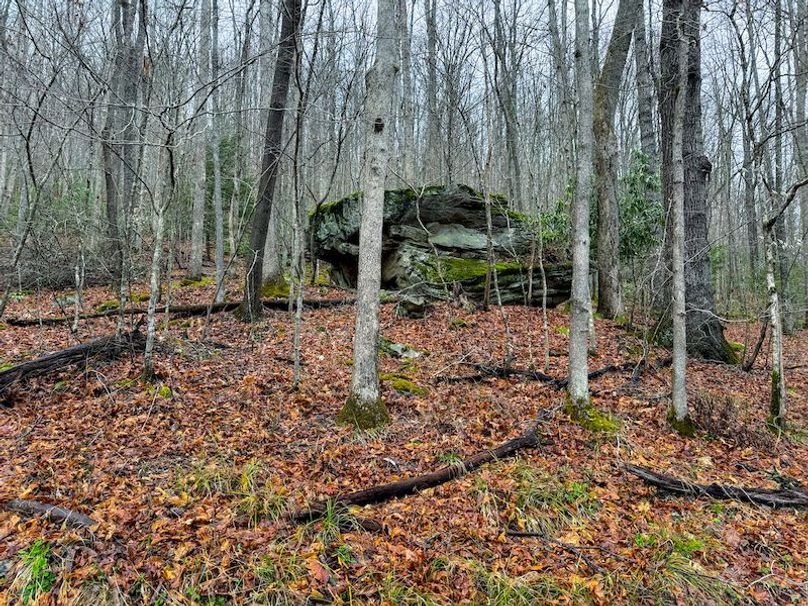 Braxton, WV 2.31 AC Winslow_Cole-09