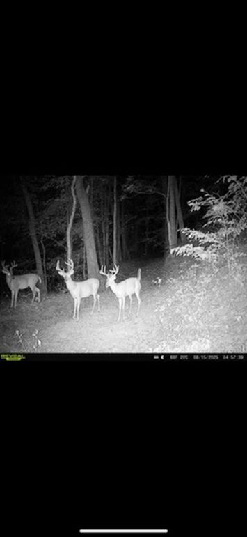 5C894111-A645-4283-9988-A4D2A191646A_4_5005_c