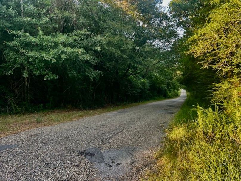 20719097-20F1-4811-9AE7-4EBD50AB63D8_1_105_c