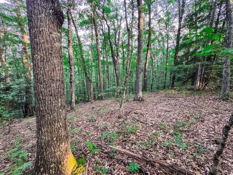 Webster, WV 42 AC Barger-38