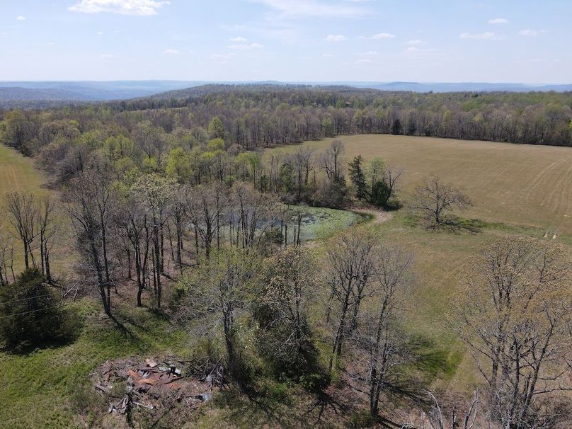 dji_fly_20260408_131920_434_1775672383439_photo