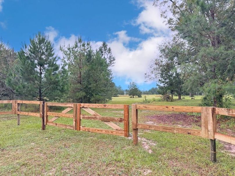 9CA1F4D0-8894-4E81-83DF-0DF16C06C697