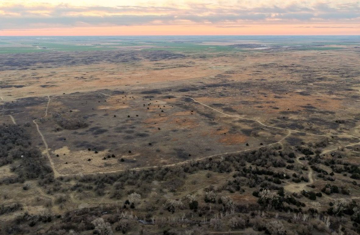 DJI_20260311080724_0500_D