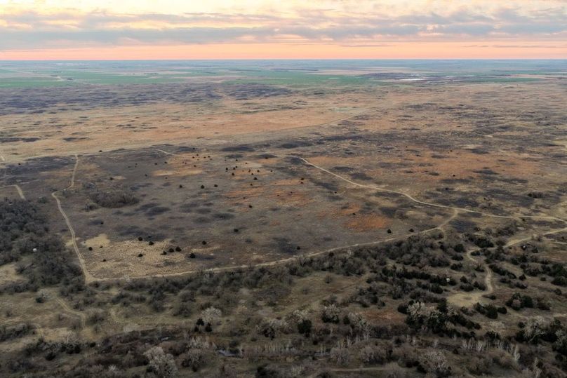 DJI_20260311080724_0500_D