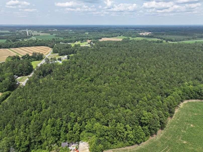DJI_20250604141924_0088_D