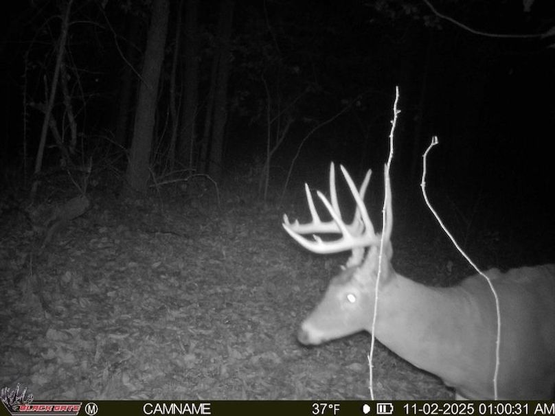 B5A49E64-D5D5-4040-8CEA-F5D3753DDDB0