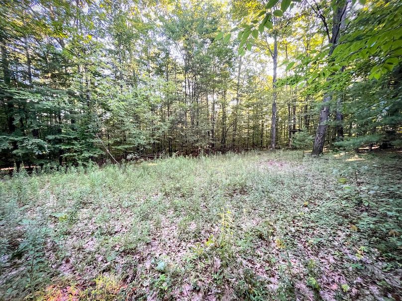 Tioga_82.5_Williams_Photos_24