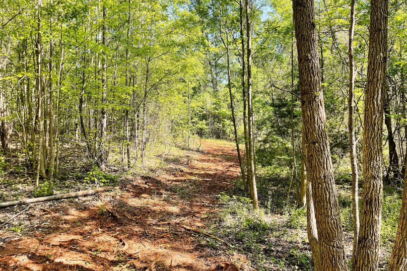 15 Trail 08