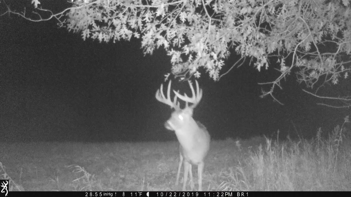 Tillable Ground, Multiple Building Sites And Booner Bucks Whitetail Properties