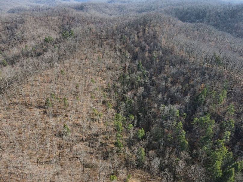 028 aerial view looking into the left hollow split-2