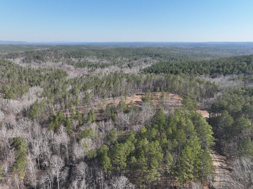DJI_0955