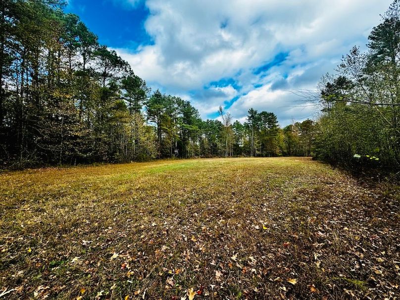 Food Plot(1)