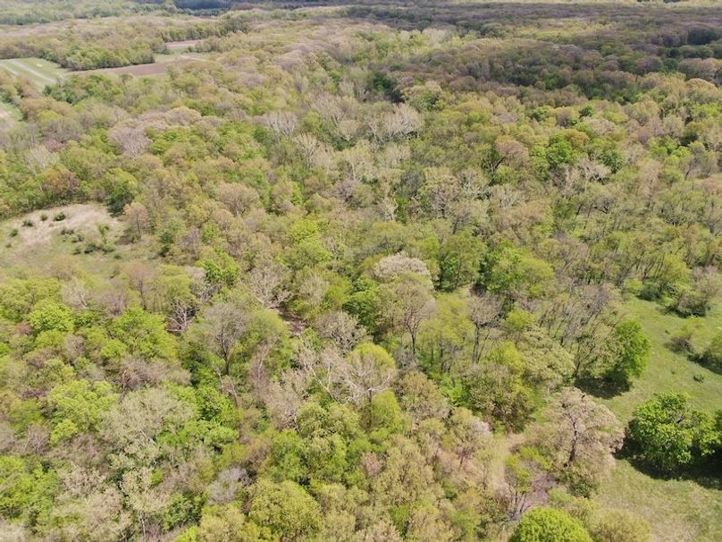 DJI_0902